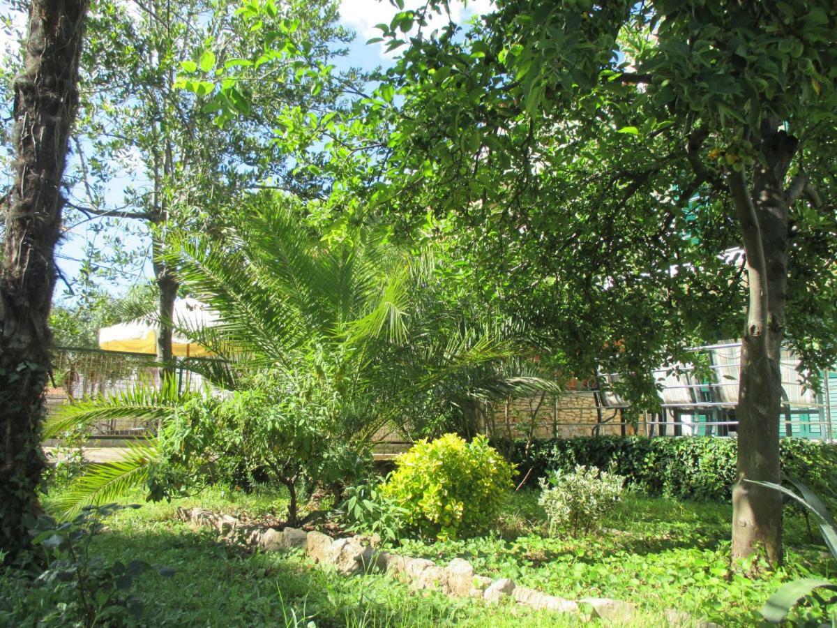 Lemon Tree Apartments 扎达尔 外观 照片